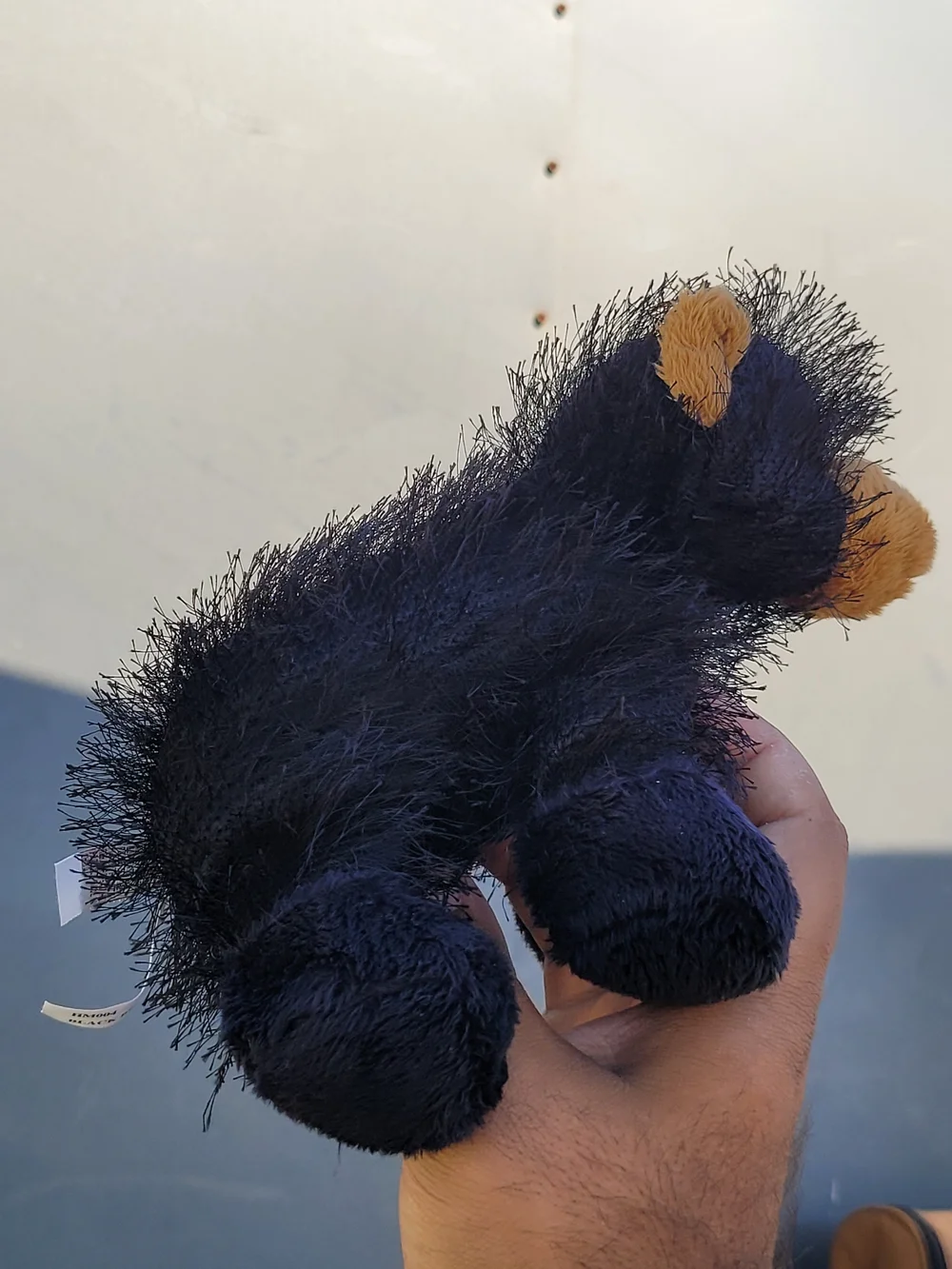 Ganz Webkinz BLACK BEAR HM004 Plush Stuffed Animal No Code #webkinz #blackbear